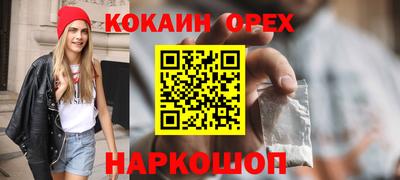 индика Новозыбков