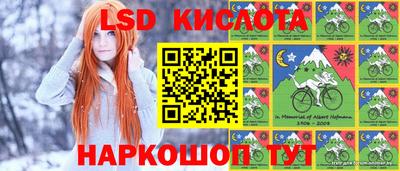 круглые Новодвинск