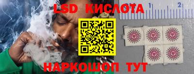 твердый Новокубанск