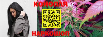 индика Новозыбков