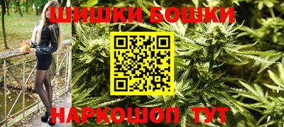 индика Новозыбков