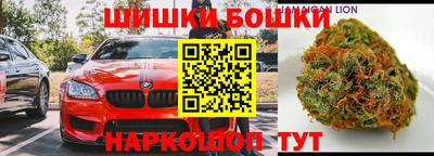 индика Новозыбков