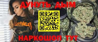 индика Новозыбков