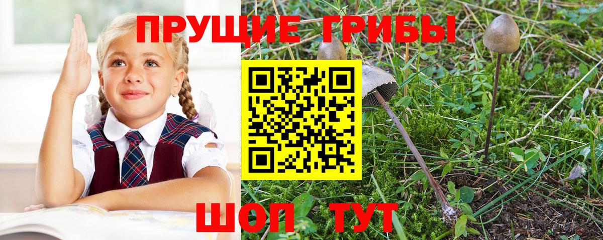 Псилоцибиновые грибы Psilocybine cubensis  Вход с VPN  Стрежевой  Псилоцибиновые грибы мухоморы 